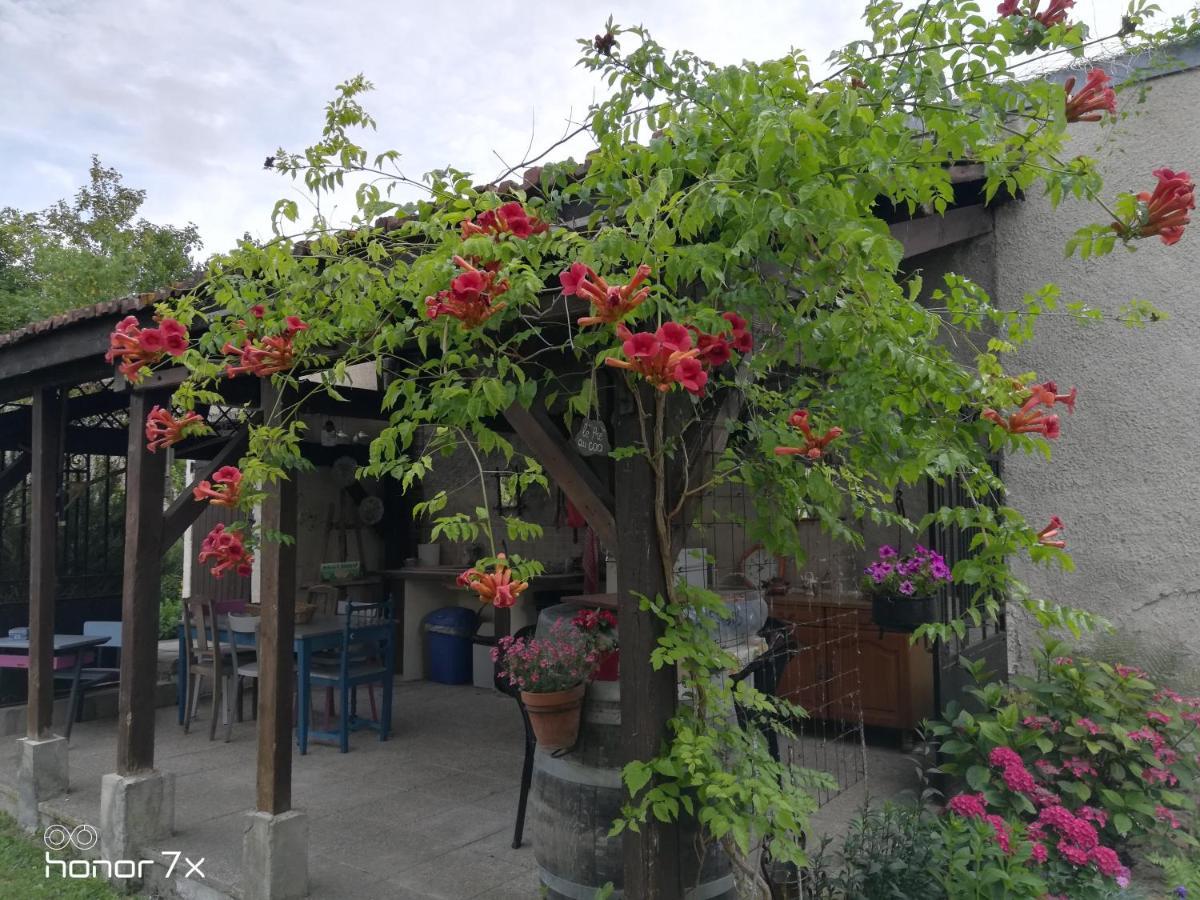 Bed and Breakfast Le Coq En Pate Romilly-sur-Seine Exterior foto